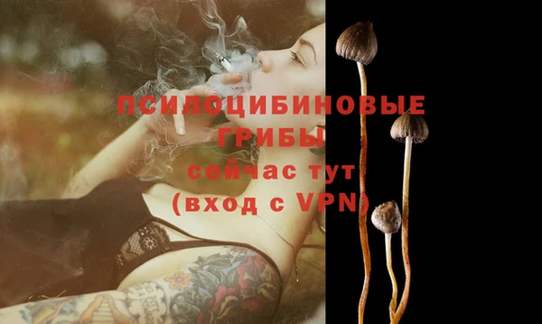 стафф Каменск-Шахтинский