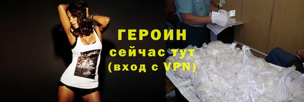 гидра Елизово