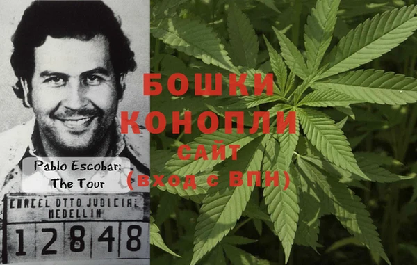 гидра Елизово