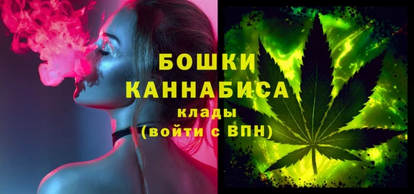гидра Елизово