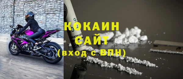 гидра Каменка