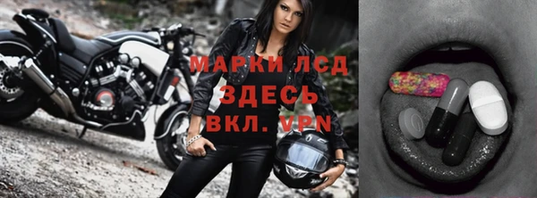 гидра Каменка