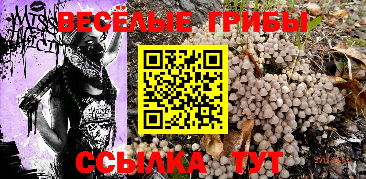 Псилоцибиновые грибы прущие грибы  Псилоцибиновые грибы мухоморы  наркота  Вход с VPN  Карабулак 